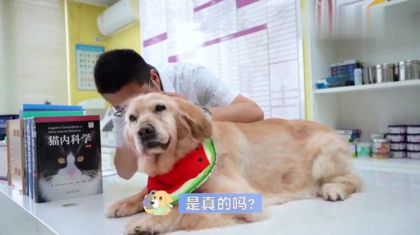 猫咪不爱喝水怎么办这有个方法，拿好不用谢