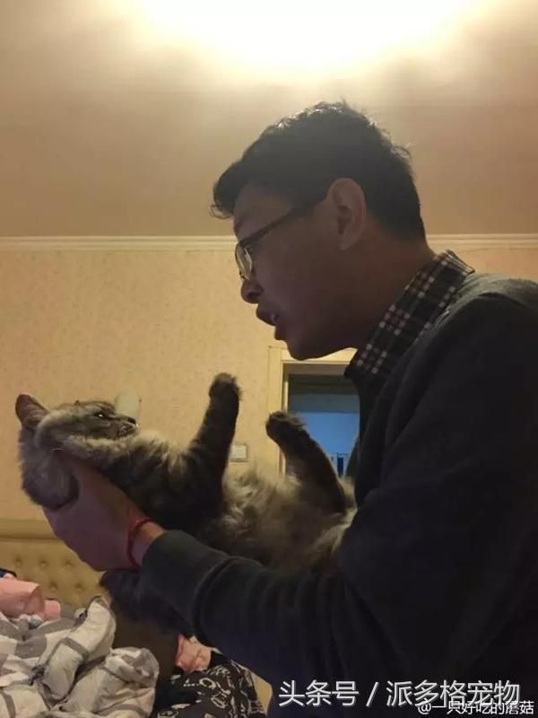 千万不要让爸妈养宠物，因为没有人能逃过真香定律！
