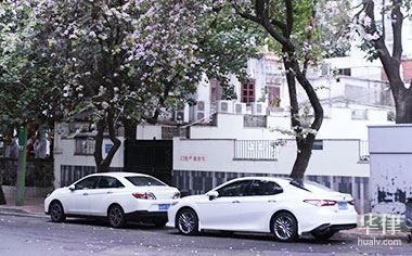 撞宠物逃逸怎么处理