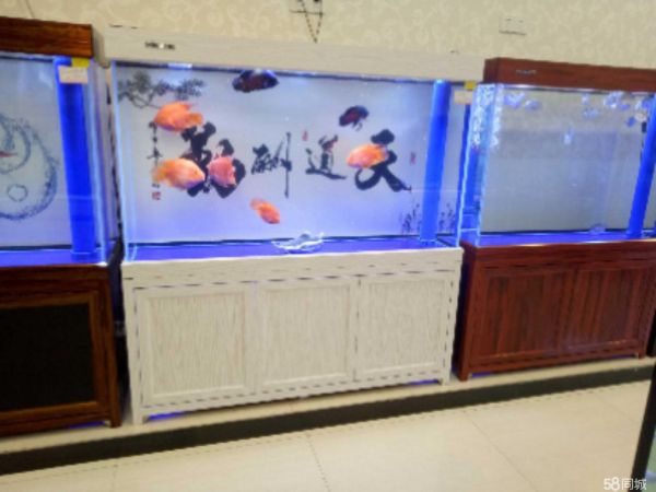 店主头像