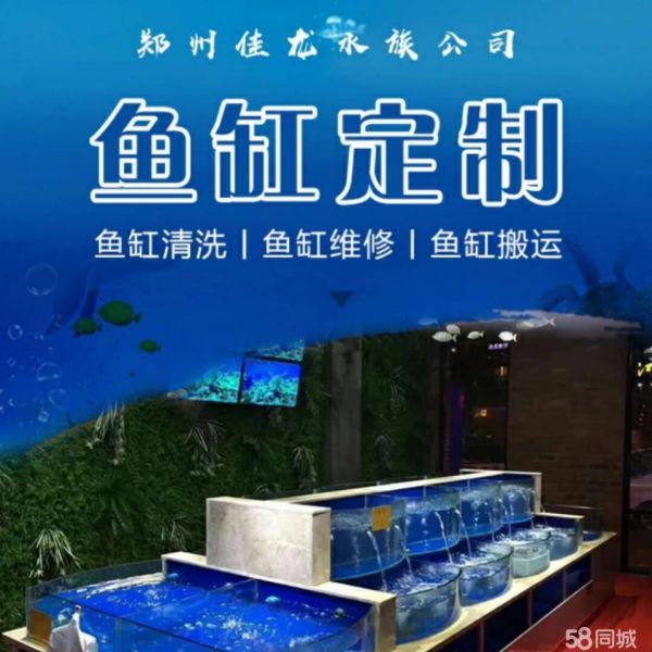店主头像