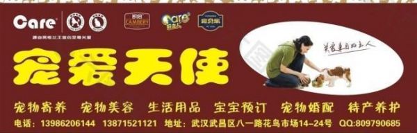 宠物店招牌图片