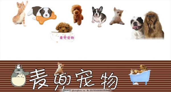宠物店门面门头广告牌招牌