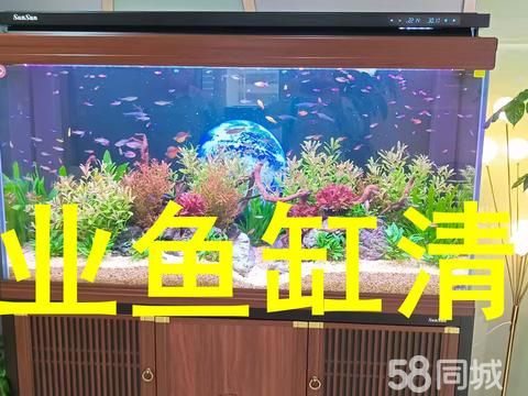 家德龙鱼缸定制水族工程·上海专业各类鱼缸定制清洗、冷库制冷维修、冷库安装、造景、各类观赏鱼龙鱼