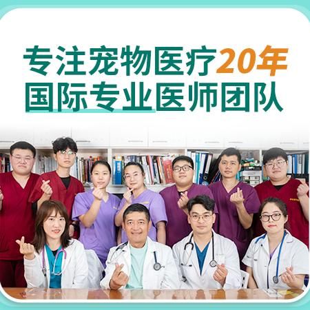 浦东新区宠物医院地址-第1张图片-彩蝶百科