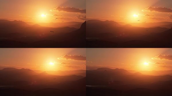 大型鸟类在慢动作中飞向太阳，背景是壮观的日落景观，展示了野生动物的史诗般的4K镜头。