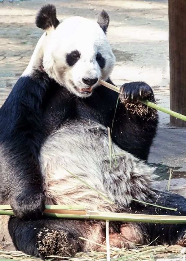 沈3.jpg