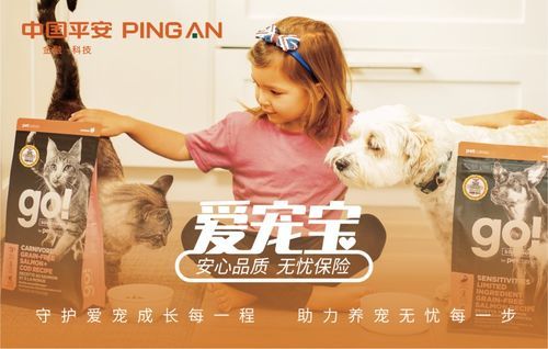 宠物护理小窍门：巧用日常用品，轻松养宠无忧。