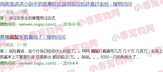 山东淄博几个藏獒园