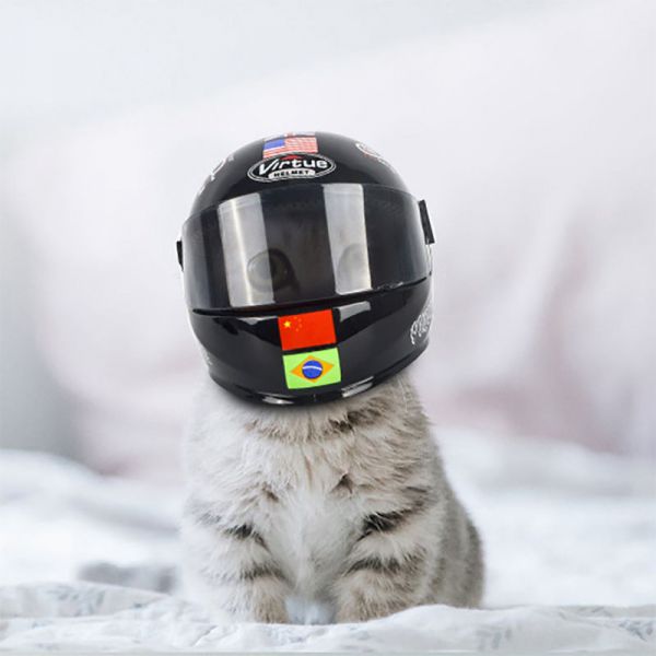 猫咪头盔帽子夏天搞怪摩托车机车搞笑拉风宠物头盔