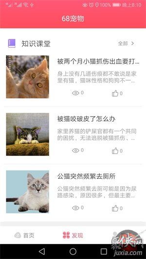 68宠物