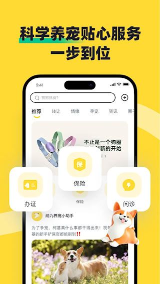 68宠物手机版(3)