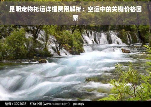 昆明宠物托运详细费用解析：空运中的关键价格因素