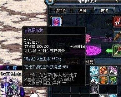 DNF宠物幻化系统：值得幻化的经典宠物推荐
