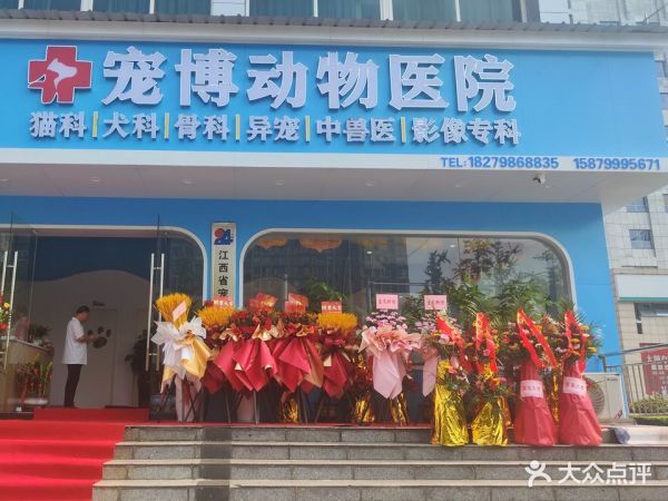 江西省宠博动物医院