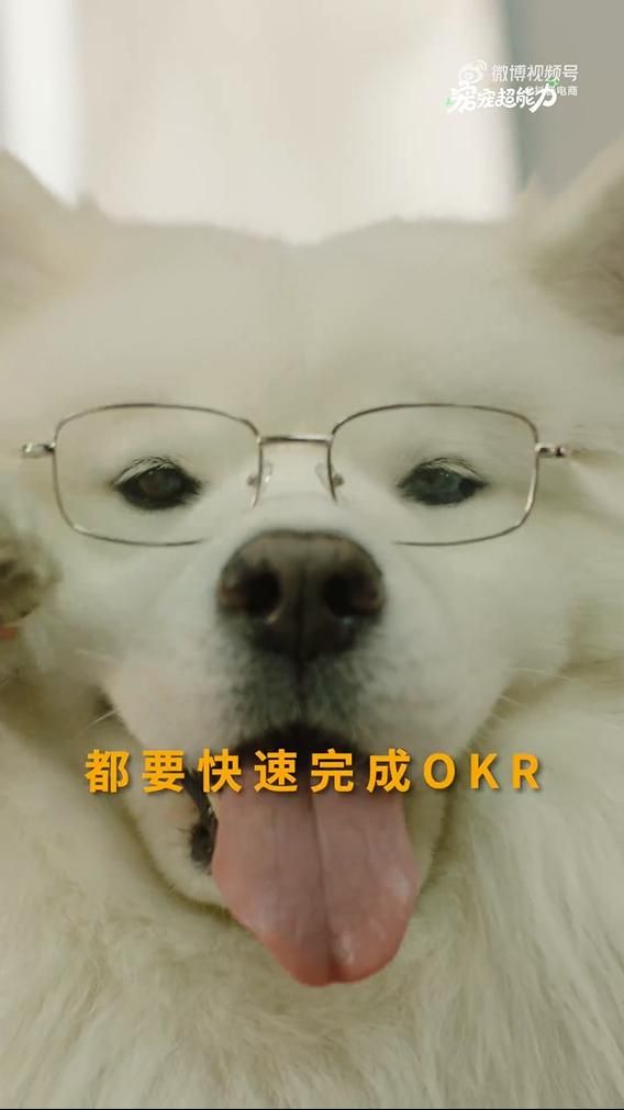 ab8c62917a443e1c2157210c6a15817-800.jpg