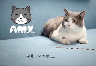 春水坊宠友集结地,萌宠生活分享!