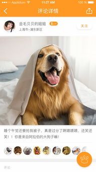 汉中宠物圈，宠友集结地