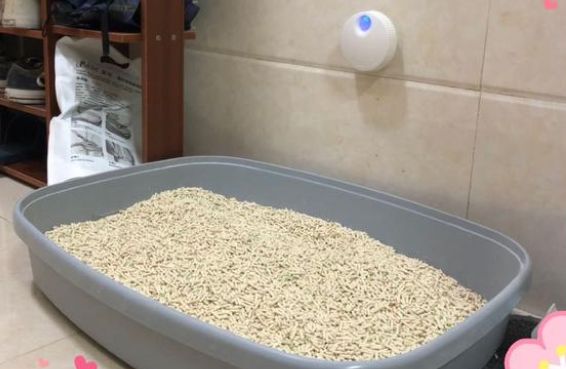 uah有哈宠物智能净味器测评效果如何