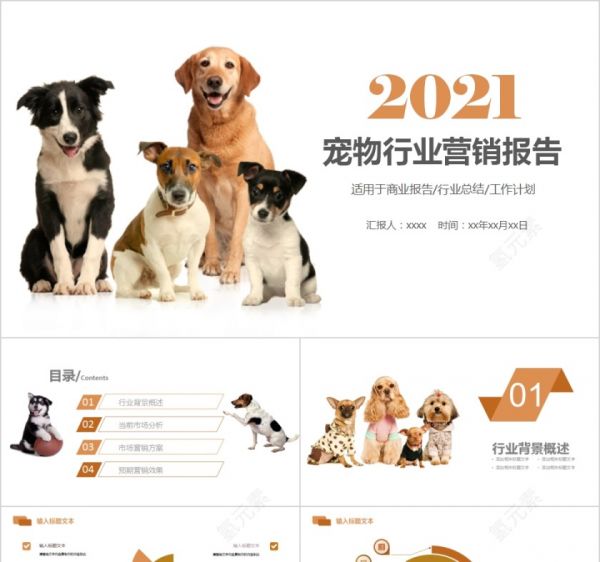 宠物行业营销报告PPT模板