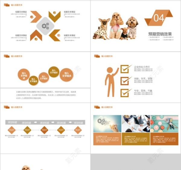 宠物行业营销报告PPT模板第4张