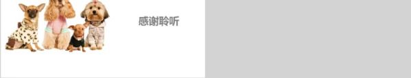 宠物行业营销报告PPT模板第5张