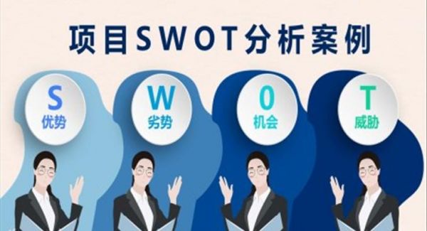 项目SWOT案例分析PPT课件