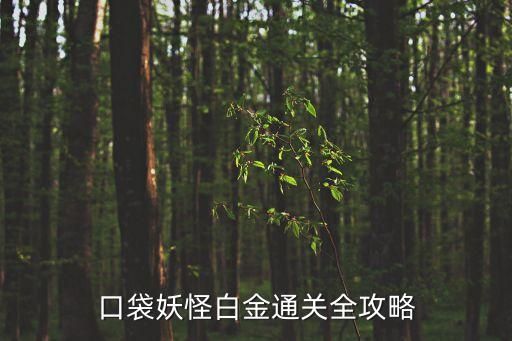口袋妖怪白金通关全攻略