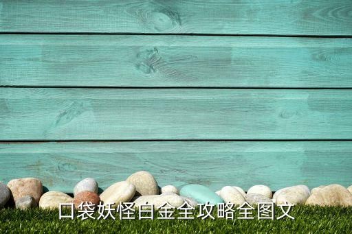 口袋妖怪白金全攻略全图文
