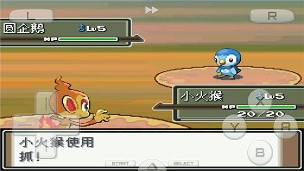 口袋妖怪白金修改器 v免费版