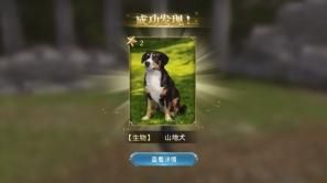 大航海之路宠物在哪捉？宠物捕捉位置详解图片2