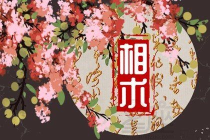 家里养鼠风水如何