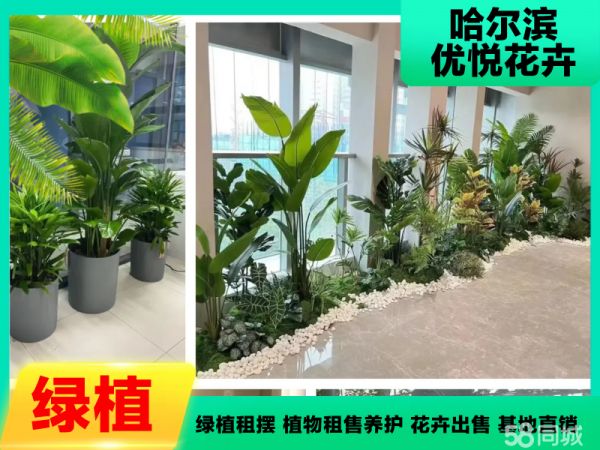 店主头像