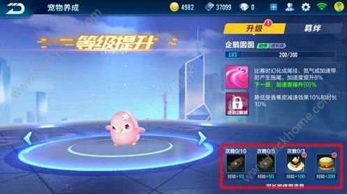 qq飞车手游宠物升级攻略 宠物升级心得图片3