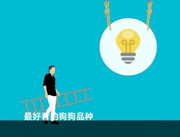 最好看的狗狗品种