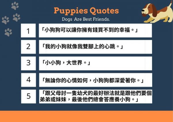 中英文狗語錄精選