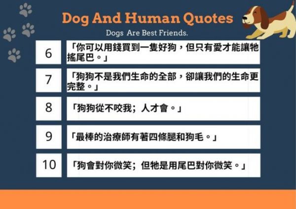 中英文狗語錄精選