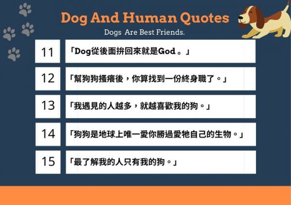 中英文狗語錄精選