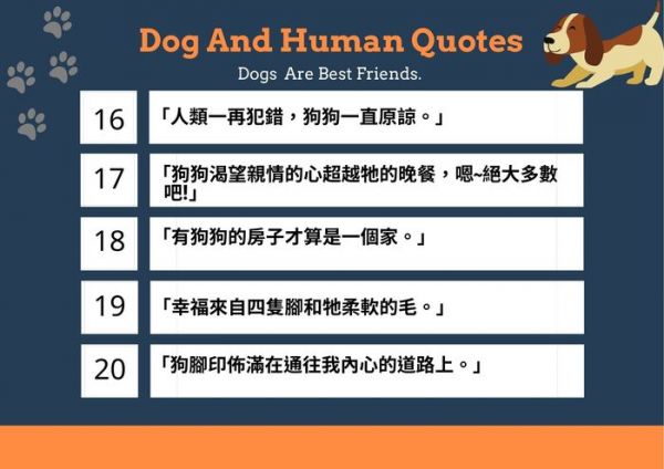 中英文狗語錄精選