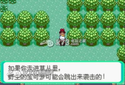 口袋妖怪绿宝石中文版,口袋妖怪绿宝石汉化版