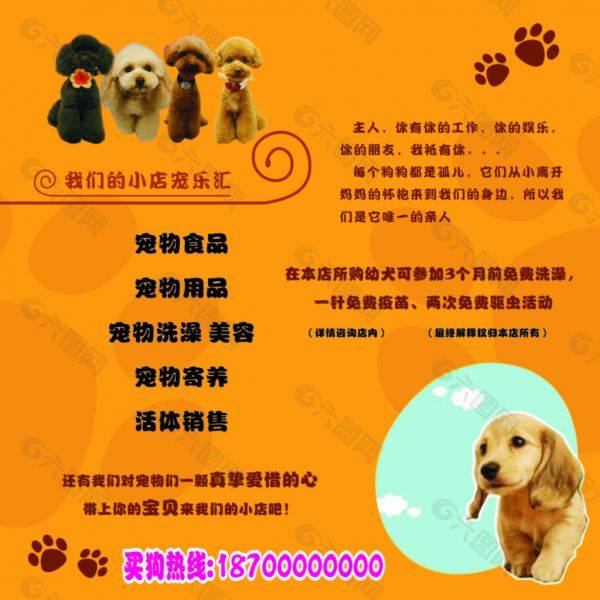 宠物店宣传海报
