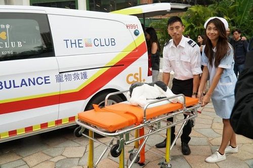 宠物救护车 只有你想不到没有他们做不到
