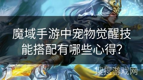 魔域手游中宠物觉醒技能搭配有哪些心得？