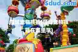 魔域宠物技能(魔域宠物技能在哪里学)