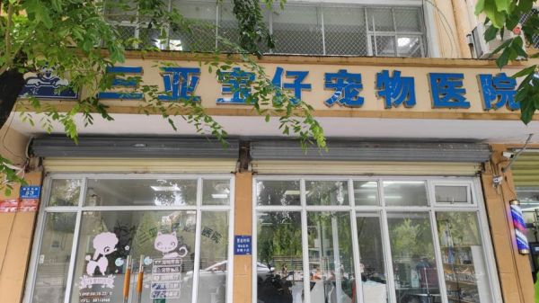 三亚市正规宠物医院（三亚 宠物医院）