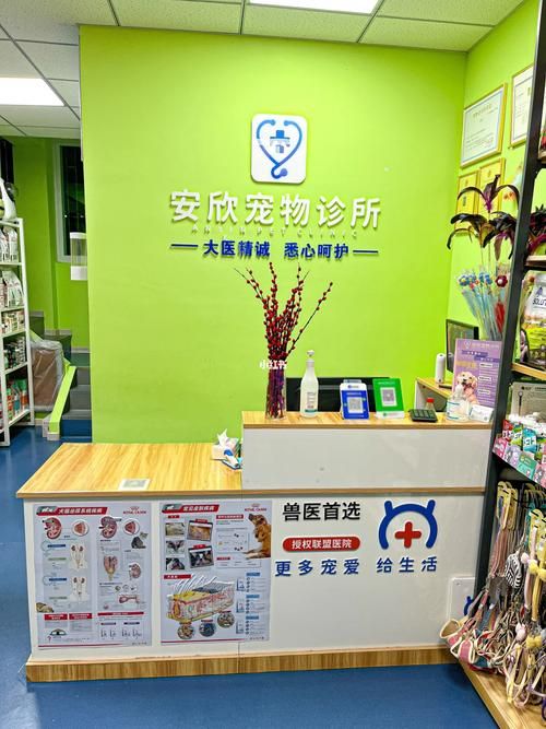 三亚市正规宠物医院（三亚 宠物医院）
