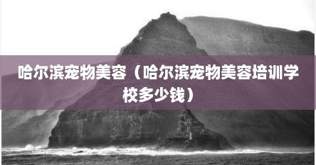 哈尔滨宠物美容（哈尔滨宠物美容培训学校多少钱）