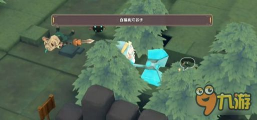 魔女之泉2宠物猫怎么抓 宠物猫获取心得