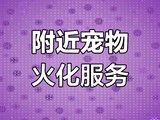 上海宠物火化殡葬善终-上海宠物火化价格