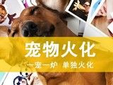 奉贤区宠物殡葬价格-上海宠物火化电话